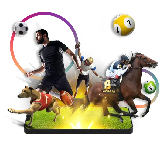 How to choose a quality bookmaker: an honest guide from a gambling expert